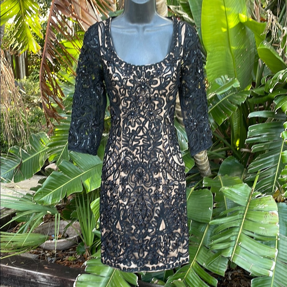 Sue Wong, sheer mesh and embroidered and beaded dress